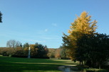 Parc de Jeurre - octobre 2011