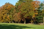 Parc de Jeurre - oct 2011 - nouvelles photos