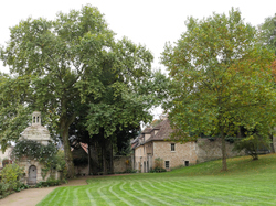 Château de Médan - octobre 2016 (2)