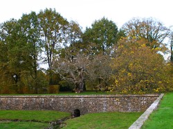 CHATEAU DE REVEILLON - NOV 2019