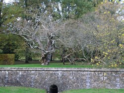 CHATEAU DE REVEILLON - NOV 2019