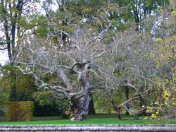 CHATEAU DE REVEILLON - NOV 2019