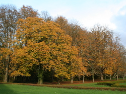 CHATEAU DE REVEILLON - NOV 2019