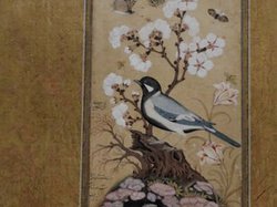 IMA - JUIN 2016 - Annie G