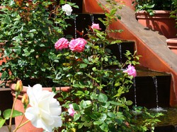 IMA - Juin 2016 - Claude J