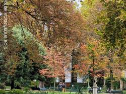 Le PARC MONCEAU par Marie-Ange D