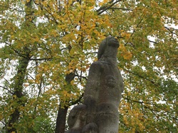 Photos de la randonnée du 12 novembre 2019 par JR