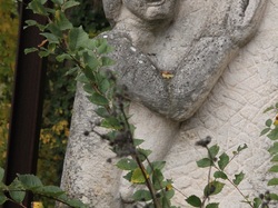 Photos de la randonnée du 12 novembre 2019 par JR