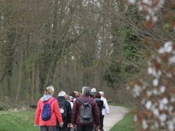 Photos de la randonnée vers Noisiel