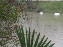 Randonnee du 18 février 2016