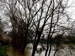 Randonnee du 18 février 2016