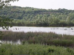 Randonnée du 23 juin 2016
