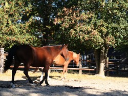 Randonnée du 5 octobre 2018