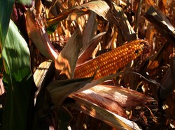 Randonnée du 5 octobre 2018