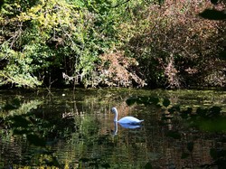 Randonnée du 5 octobre 2018