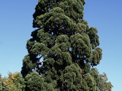 Randonnée du 5 octobre 2018