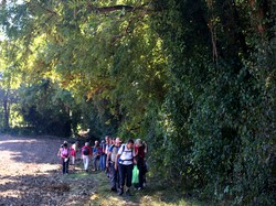 Randonnée du 5 octobre 2018