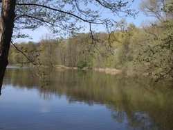 Randonnee en forêt de Carnelle le 18 avril 2018